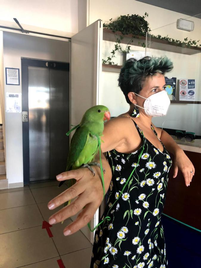 Hotel Atlantic Senigallia Zewnętrze zdjęcie